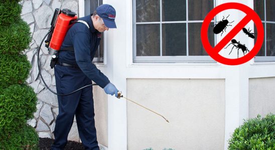 İbradı Dezenfeksiyon böcek ilaçlama ve haşere kontrolü — ilaclama-tr.com